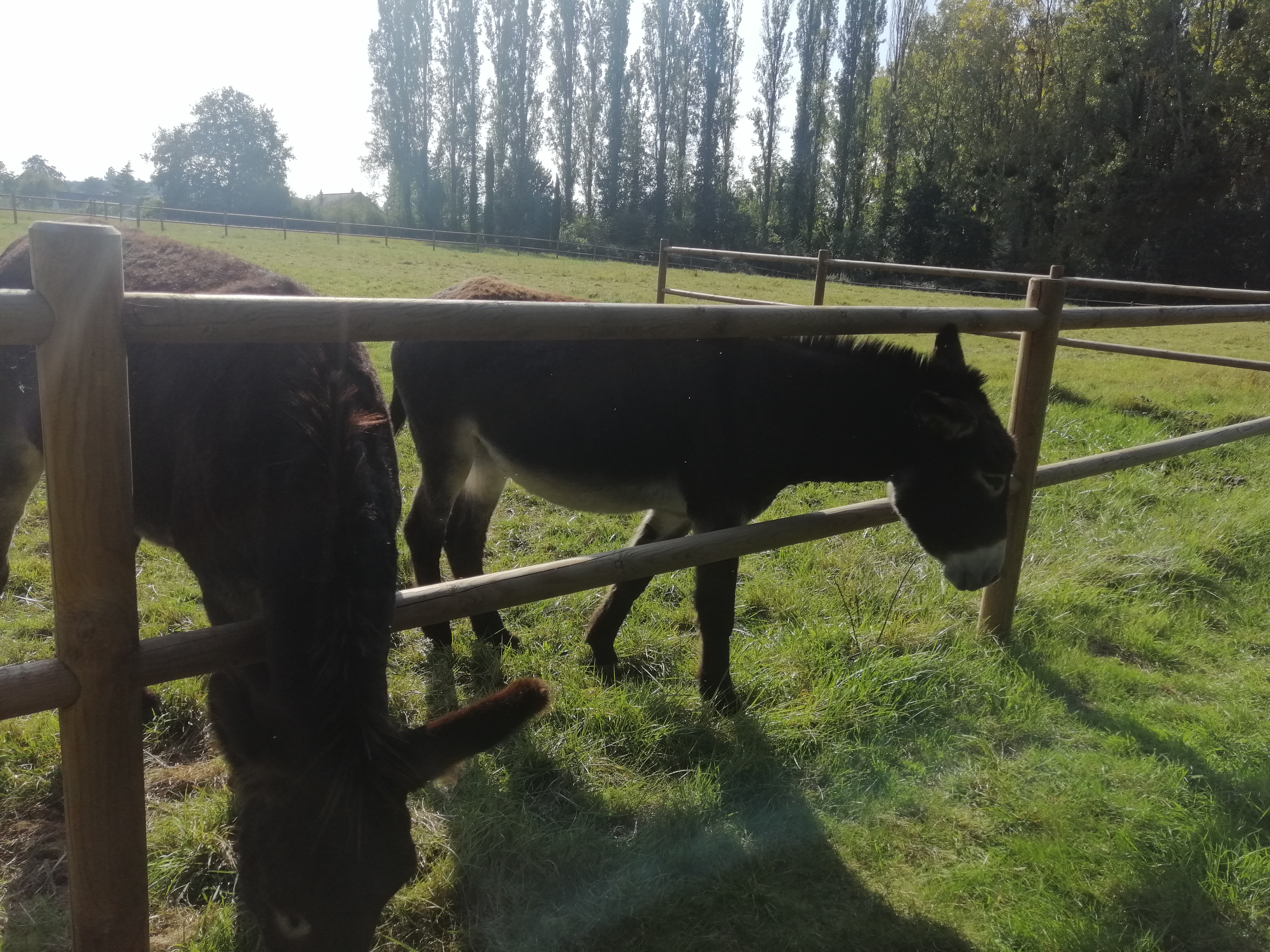 Photo n° 1 de l'avis de Kiki.i fait le 09/10/2021 à 15:58