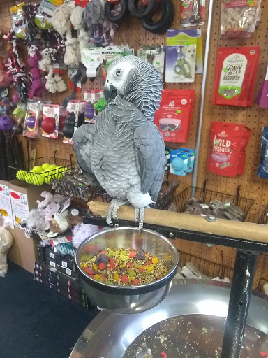 Pet Store «Birds & Beasts Pet Shop», reviews and photos, 35 Berkshire Dr # 18, Crystal Lake, IL 60014, USA