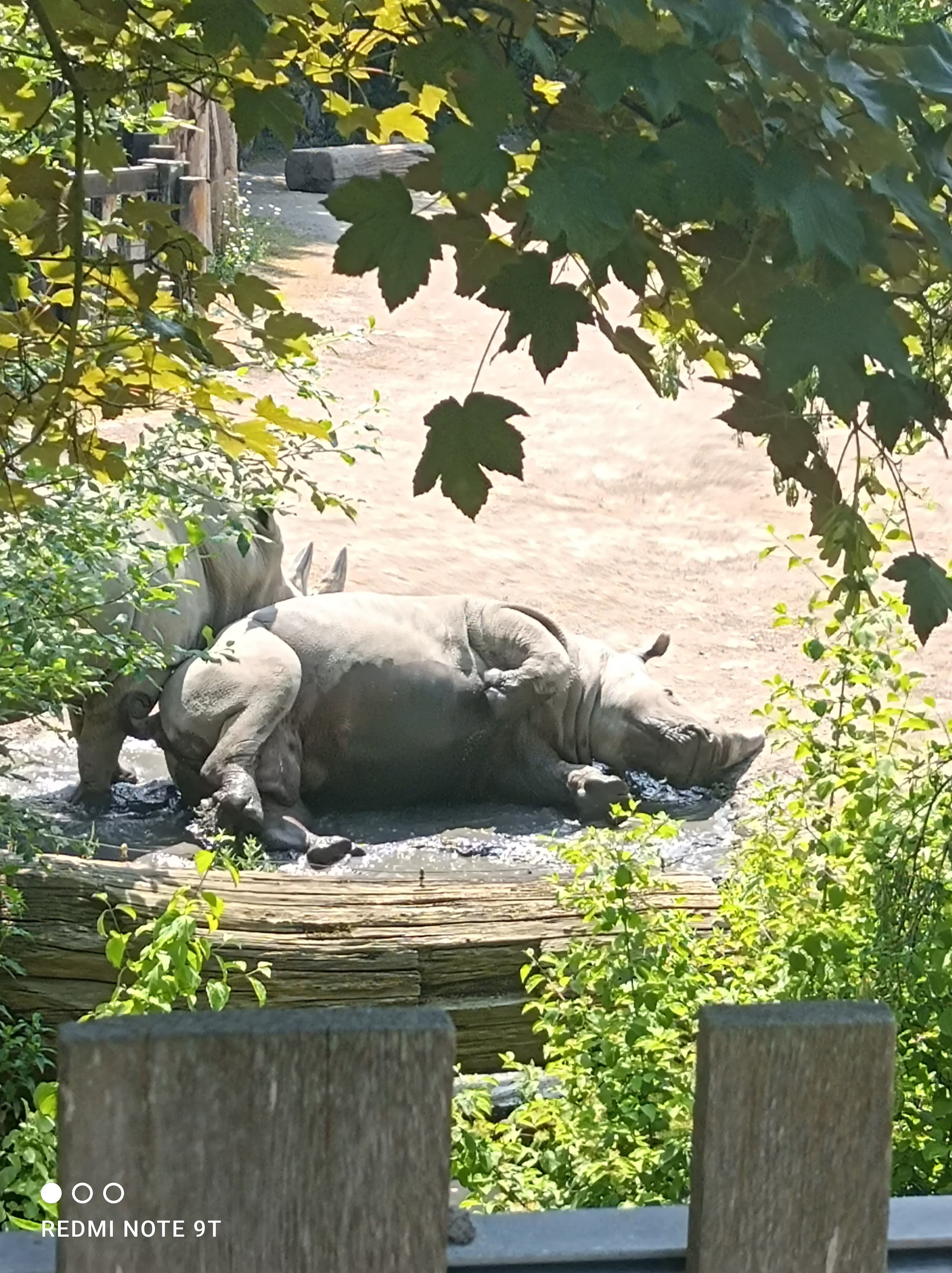 Photo n° 3 de l'avis de Guillaume.i fait le 23/06/2023 à 12:28