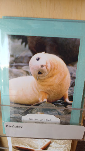 Book Store «Bookstar», reviews and photos, 12136 Ventura Blvd, Studio City, CA 91604, USA