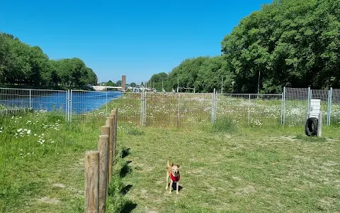 Hondenspeeltuin Willem I image