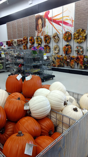 Craft Store «Michaels», reviews and photos, 10450 Town Center Dr #400, Westminster, CO 80021, USA