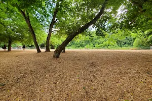 French Broad River Dog Park image