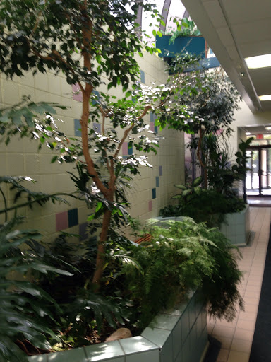 Florist «House of Plants Florist Inc», reviews and photos, 1670 Merriman Rd, Akron, OH 44313, USA