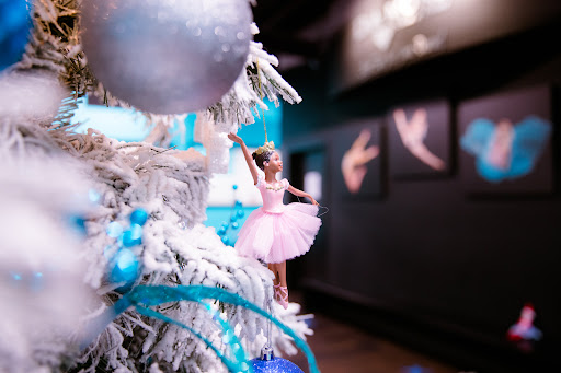 Dance School «Diamond School of Dance», reviews and photos, 2738 Mall Dr, Eau Claire, WI 54701, USA