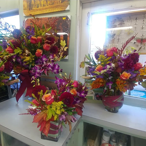 Garden Center «International Garden and Floral Design Center», reviews and photos, 155 N Sepulveda Blvd, El Segundo, CA 90245, USA