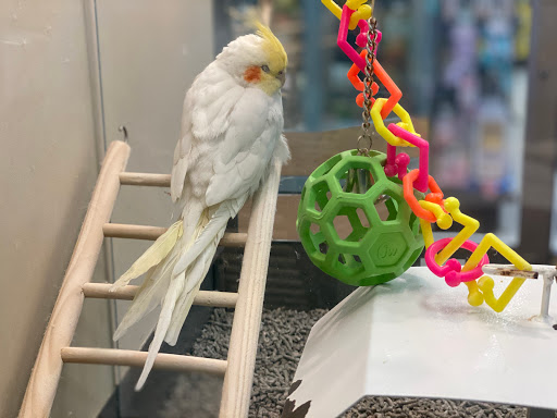 Pet Supply Store «Petco Animal Supplies», reviews and photos, 6805 Mills Civic Pkwy #140, West Des Moines, IA 50266, USA