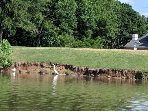 Park «Duck Pond Park», reviews and photos, 400 E Bethel School Rd, Coppell, TX 75019, USA