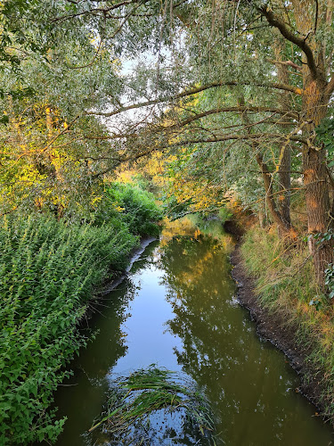 Kommentarer og anmeldelser af Solbjerg Engsø, Helsinge