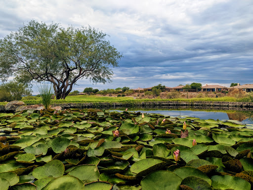Golf Course «Anthem Country Club», reviews and photos, 2708 W Anthem Club Dr, Phoenix, AZ 85086, USA