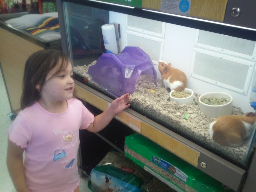 Pet Supply Store «Petco Animal Supplies», reviews and photos, 6137 Mid Rivers Mall Dr, St Charles, MO 63304, USA