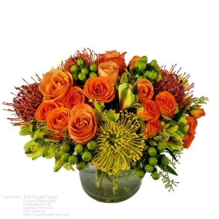 Florist «The Frugal Flower», reviews and photos, 736 Boston Post Rd, Sudbury, MA 01776, USA