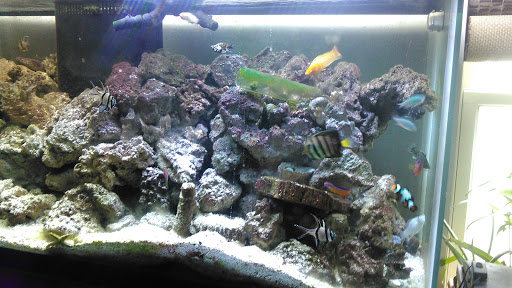 Pet Store «AquaVarium Pets And Supplies», reviews and photos, 95 W Bridge St, Catskill, NY 12414, USA