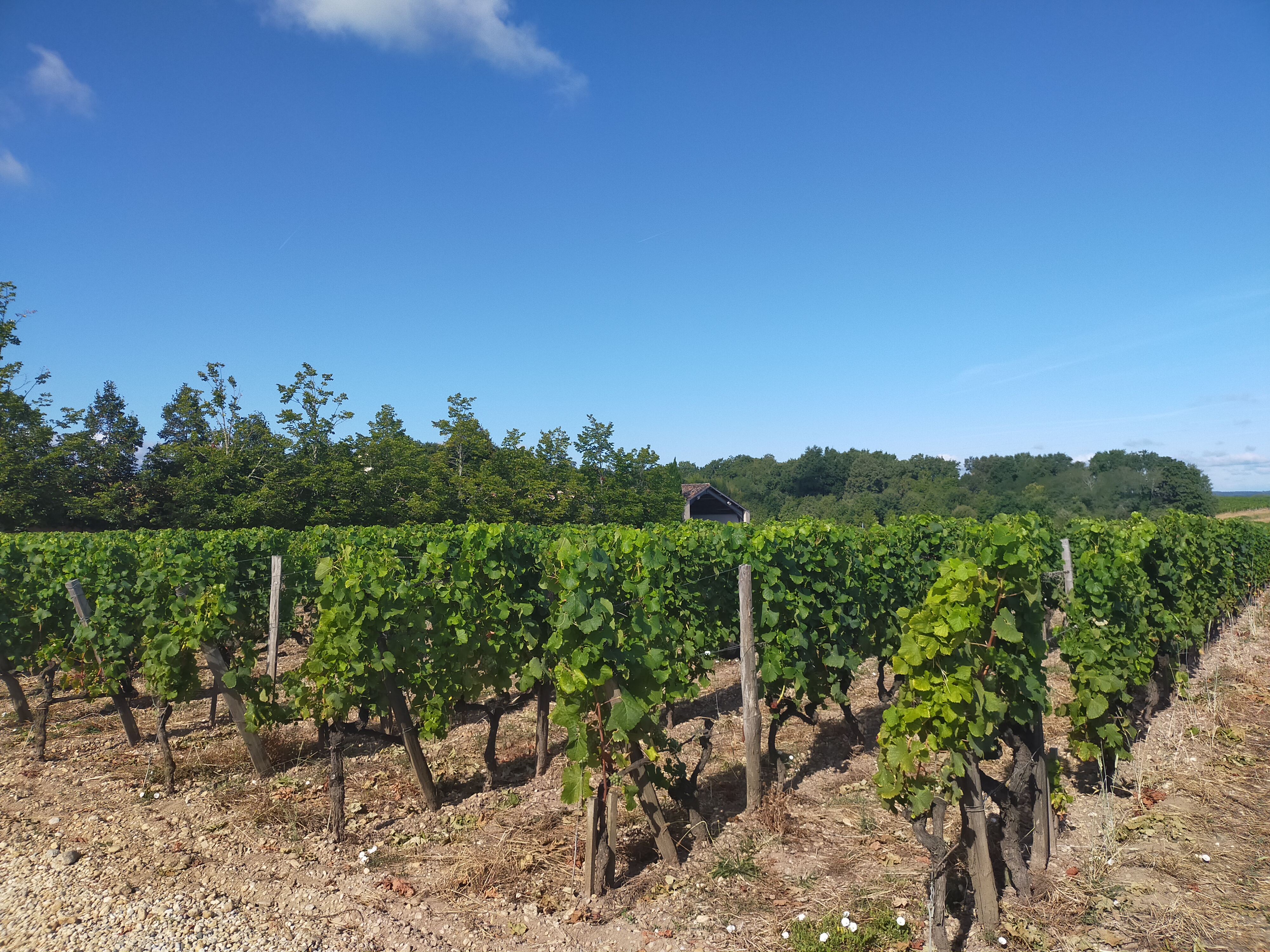 Photo n° 12 de l'avis de Françoise.e fait le 25/07/2020 à 12:04