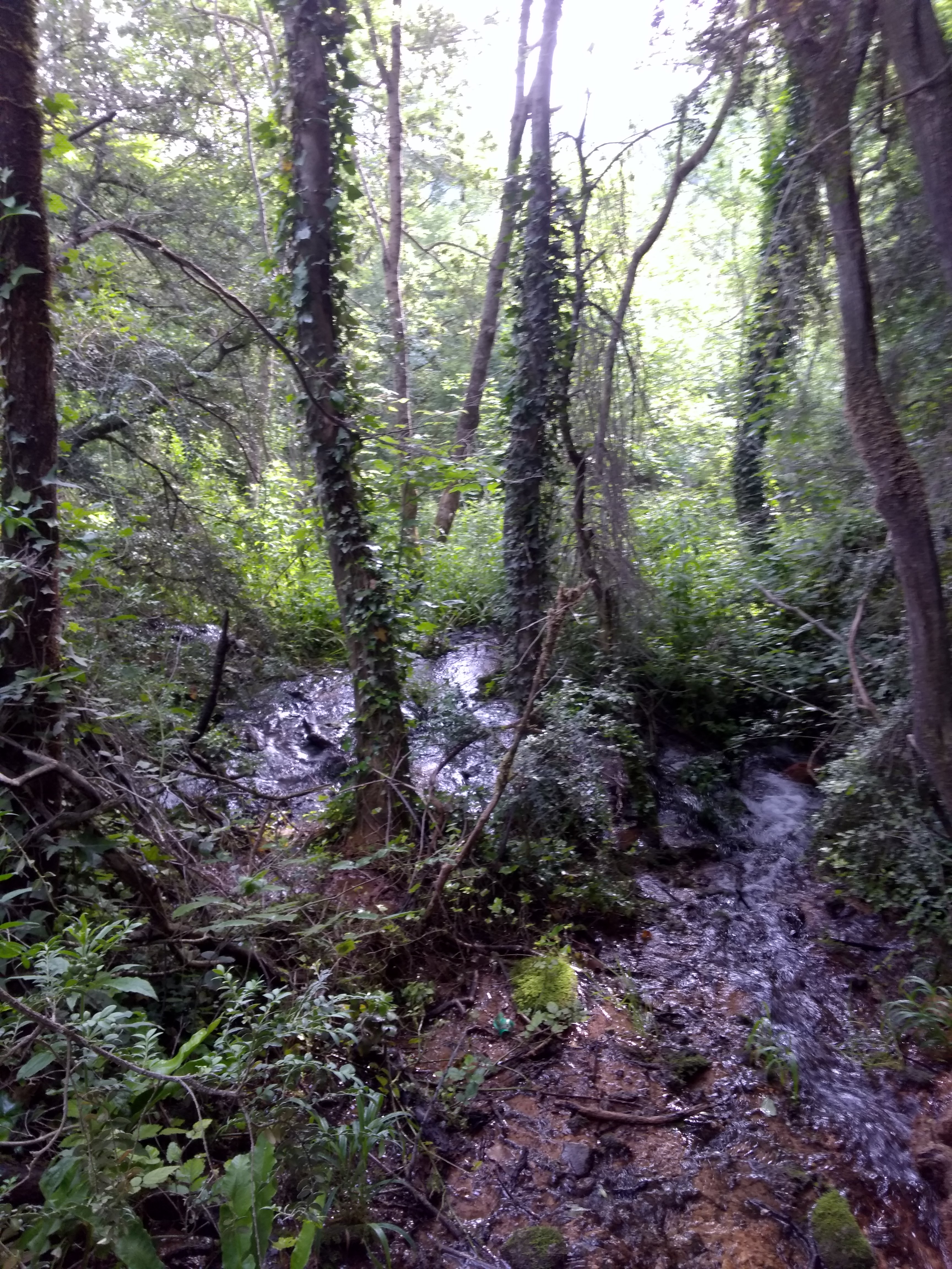 Photo n° 11 de l'avis de Thierry.v fait le 27/06/2018 à 10:34