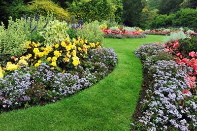 Alpes Jardin Creation / Les jardins de thomas à Bernin