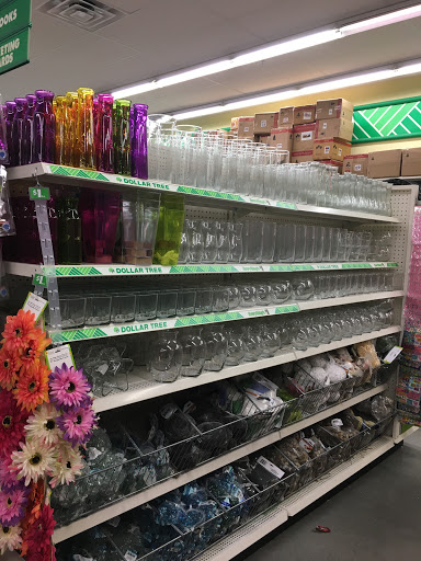 Dollar Store «Dollar Tree», reviews and photos, 1780 Tilden Ridge Dr, Hamburg, PA 19526, USA