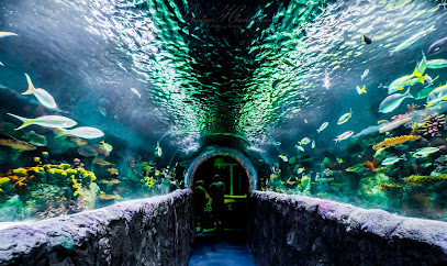 VIA Aquarium