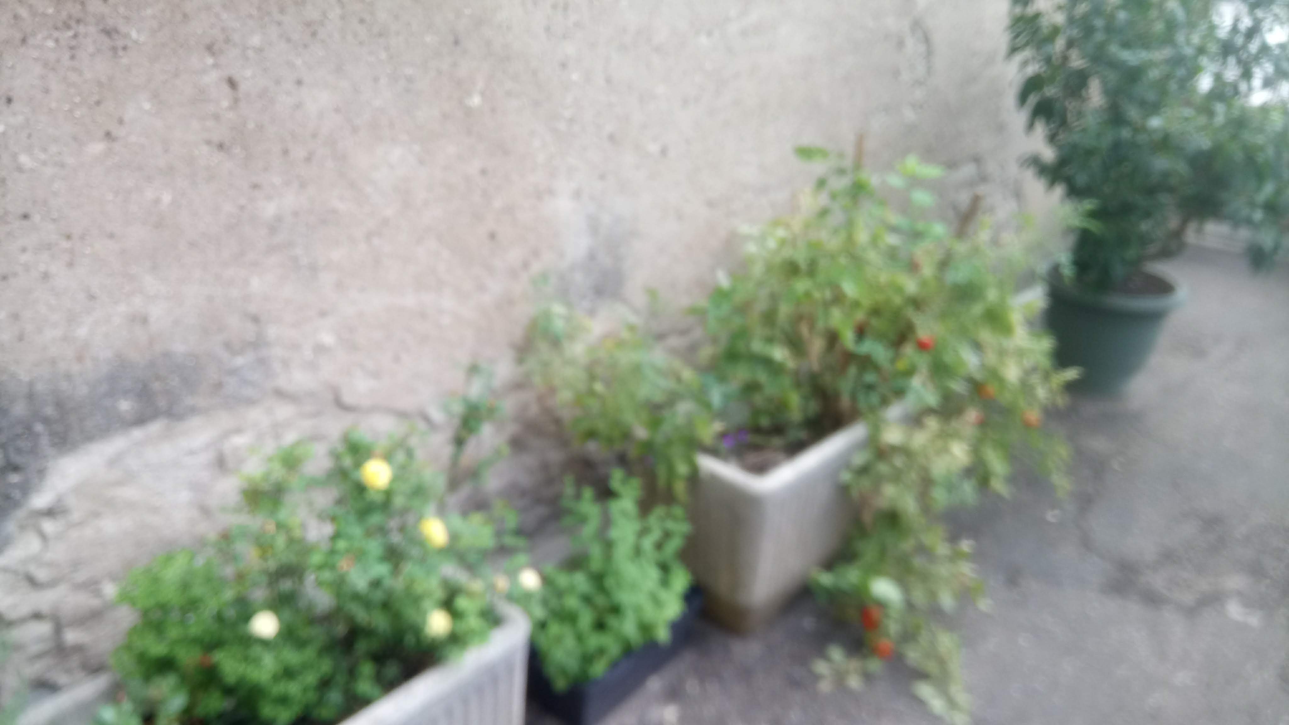 Photo n° 4 de l'avis de delphine.u fait le 13/08/2019 à 11:46