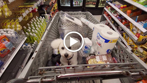 Discount Store «Big Lots», reviews and photos, 20 Court House South Dennis Rd, Cape May Court House, NJ 08210, USA