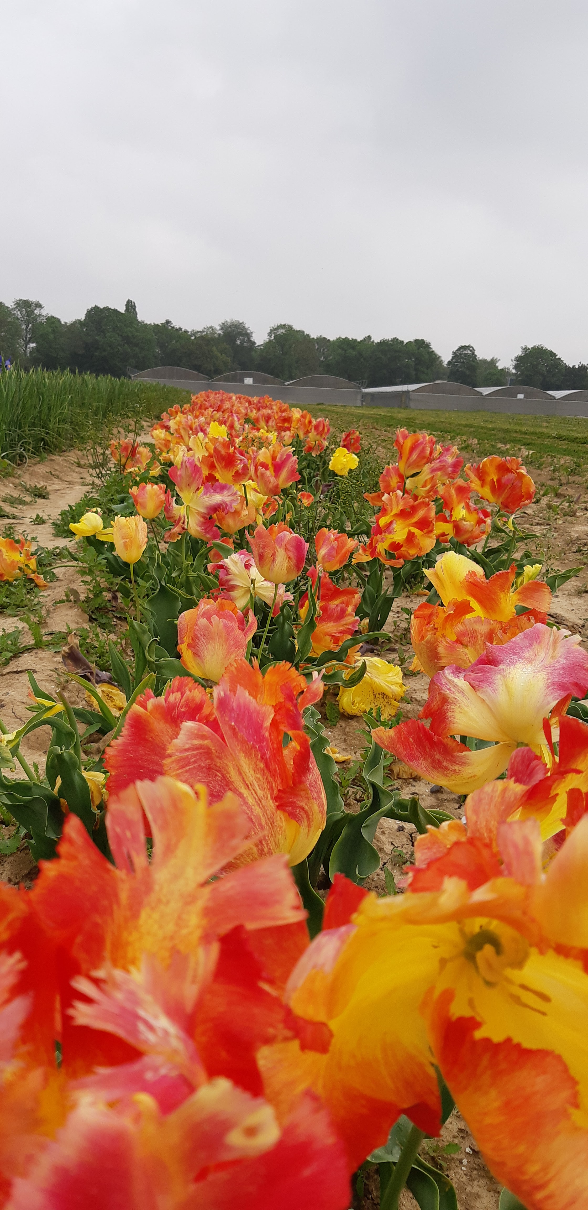 Photo n° 2 de l'avis de Del.i fait le 02/07/2016 à 10:29