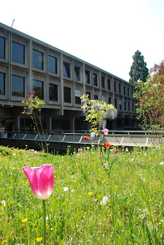 Collège Rousseau - Pflegeheim