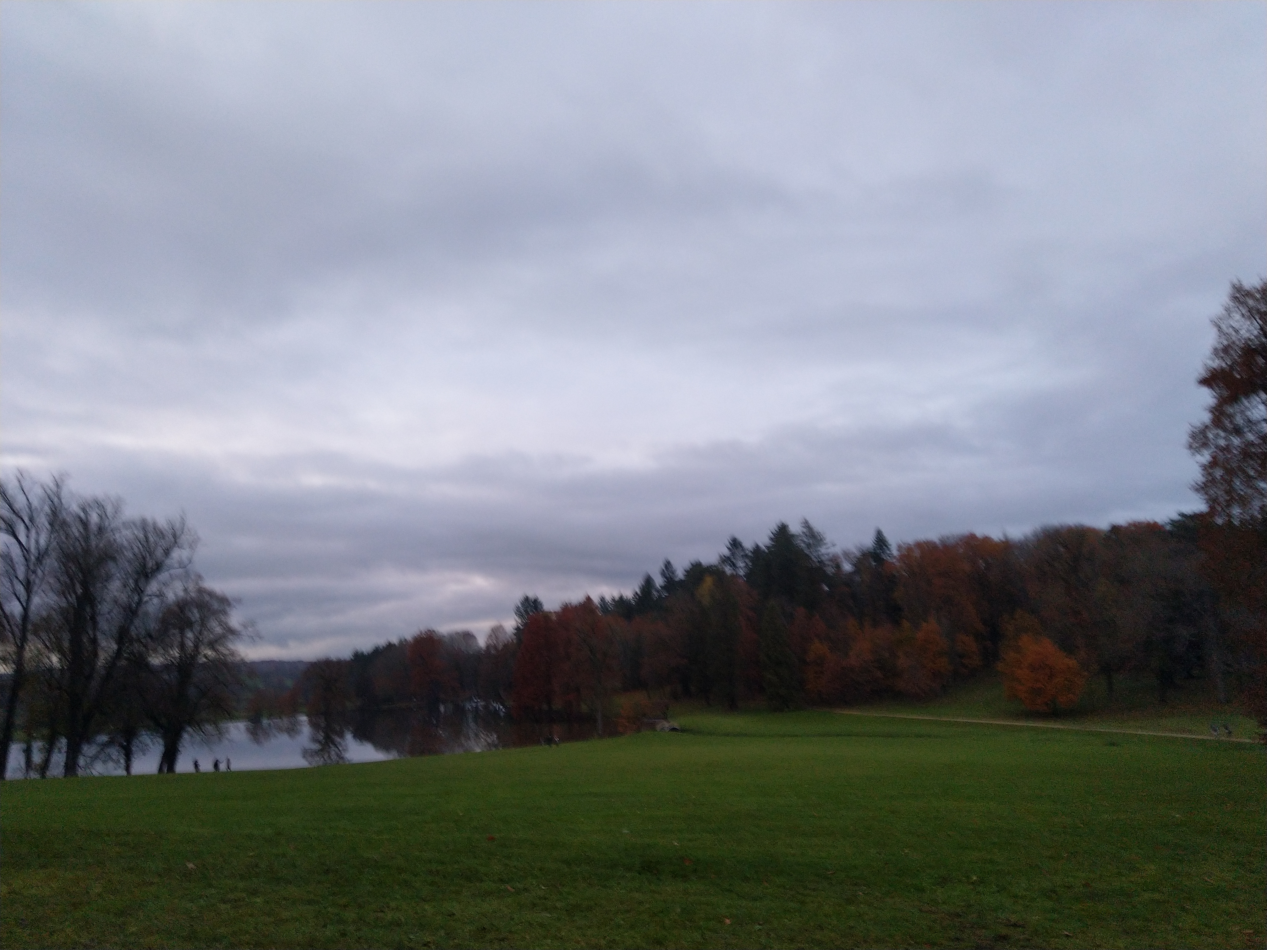 Photo n° 7 de l'avis de Séverine.O fait le 01/12/2019 à 17:07