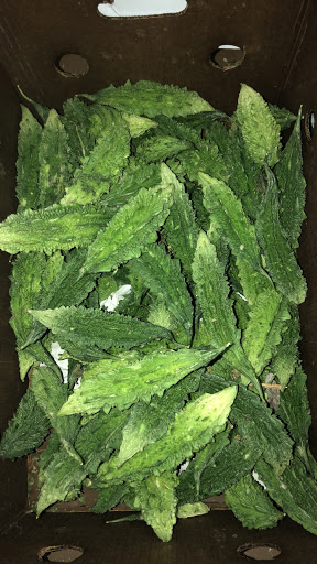 Grocery Store «Halal Groceries», reviews and photos, 13000 Aldrich Ave S, Burnsville, MN 55337, USA