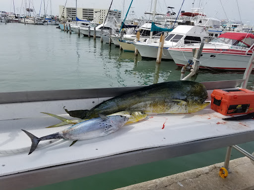 Marina «Cape Marina», reviews and photos, 800 Scallop Dr, Cape Canaveral, FL 32920, USA