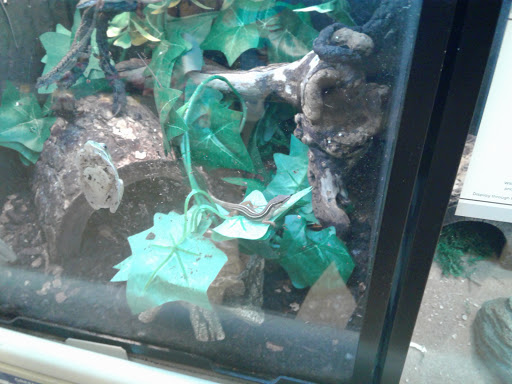 Pet Supply Store «PetSmart», reviews and photos, 4120 E 4th St, Ontario, CA 91764, USA