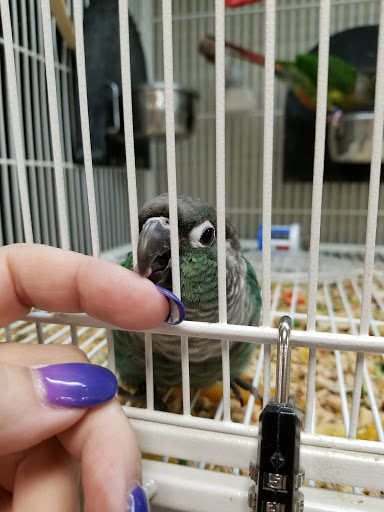 Pet Supply Store «Pet Supplies Plus», reviews and photos, 1791 W Columbia Ave, Battle Creek, MI 49015, USA
