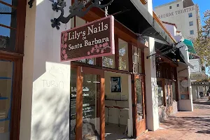 Lily's Nails of Santa Barbara image