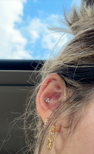 Explore snook tattoo ideas, creative tattoo ideas in White Plains, available at Big Joe & Sons Tattooing