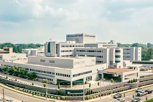 CHI Saint Joseph Health - Saint Joseph Hospital image