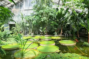 Botanical Garden of KIT image