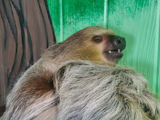 Zoo «North Georgia Zoo & Farm», reviews and photos, 2912 Paradise Valley Rd, Cleveland, GA 30528, USA