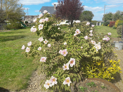 Commune de Saint Pierre les Elbeuf à Saint-Pierre-lès-Elbeuf