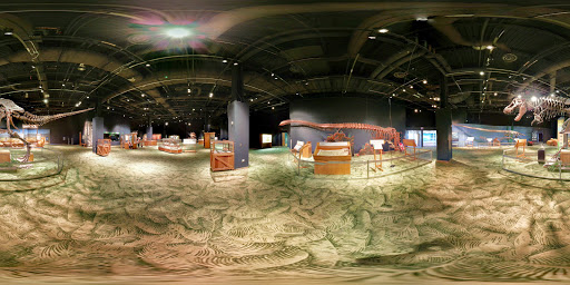 Science Museum «Orlando Science Center», reviews and photos, 777 E Princeton St, Orlando, FL 32803, USA