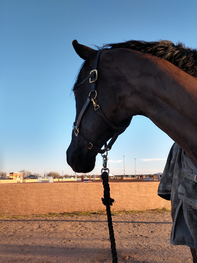 Park «Arizona Horse Lovers Park», reviews and photos, 19224 N Tatum Blvd, Phoenix, AZ 85050, USA