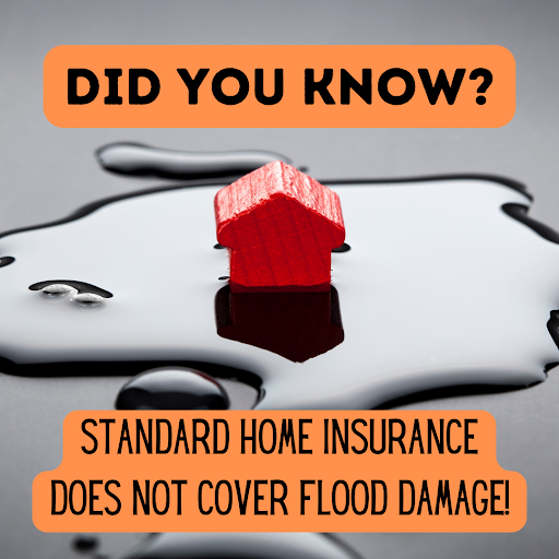 Insurance Agency «Florida Best Quote», reviews and photos