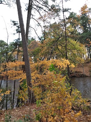 Synergy Park - photo 14
