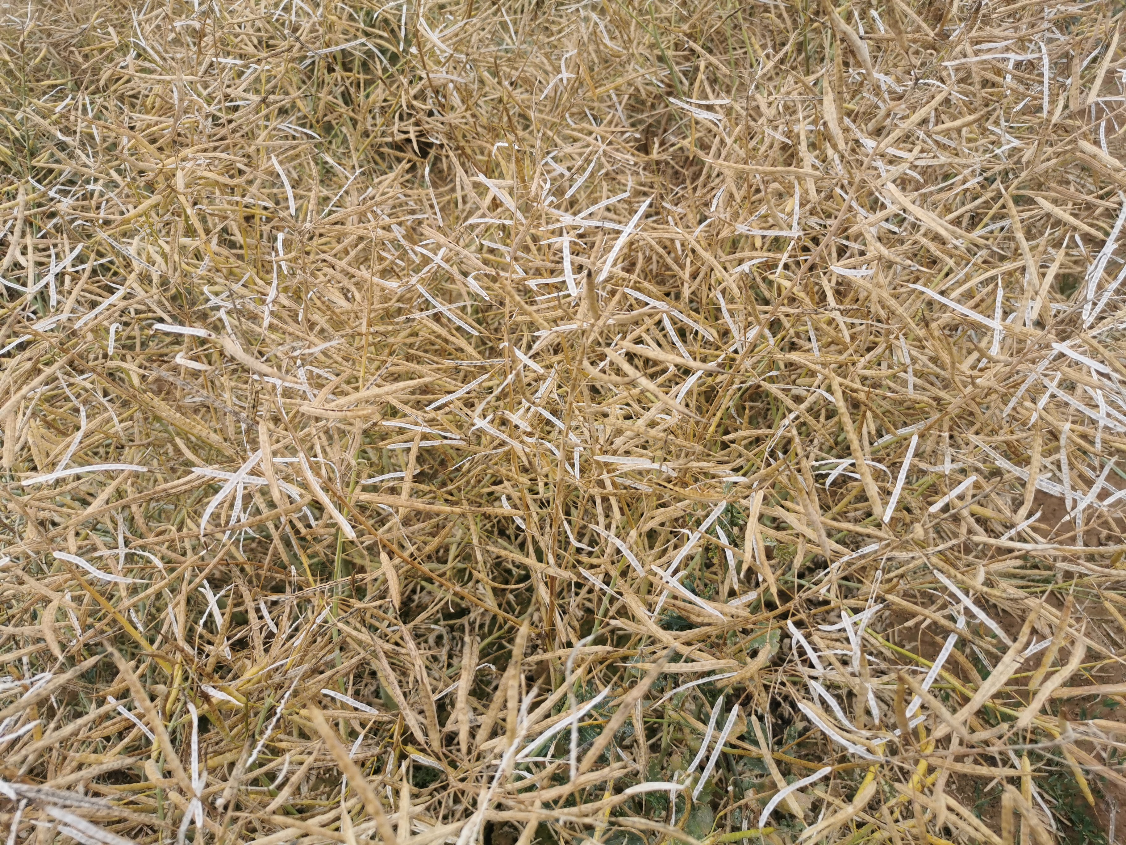 Photo n° 12 de l'avis de DANIEL.A fait le 19/04/2021 à 19:42