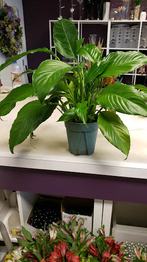 Florist «Flowers by Chris», reviews and photos, 1023 Cathedral St, Baltimore, MD 21201, USA