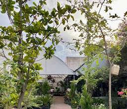 Vivero Cafe photo