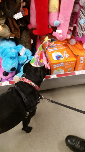 Pet Store «PetSmart», reviews and photos, 1580 Gateway Blvd, Fairfield, CA 94533, USA