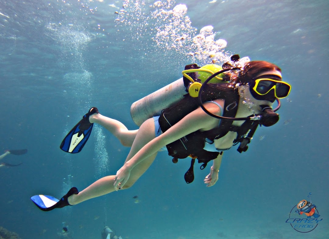  Crazy Frog Diving. Phuket Diving Center.