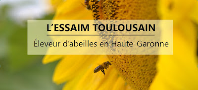L'essaim Toulousain - Apiculteur à Flourens