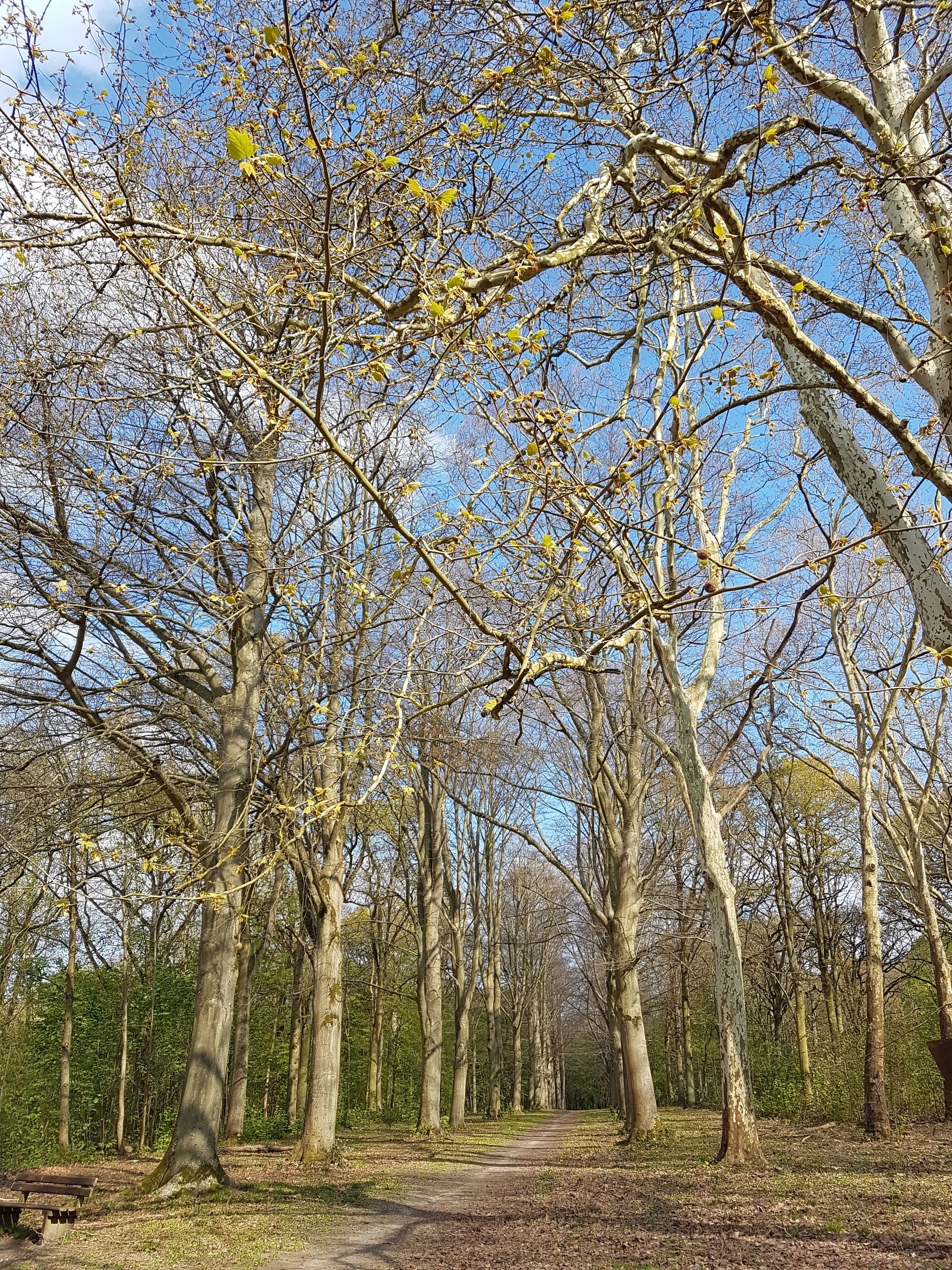 Photo n° 1 de l'avis de flo.i fait le 13/04/2019 à 15:54