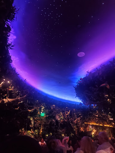 Supermarket «ALDI», reviews and photos, 1414 Mendota Rd E, Inver Grove Heights, MN 55077, USA