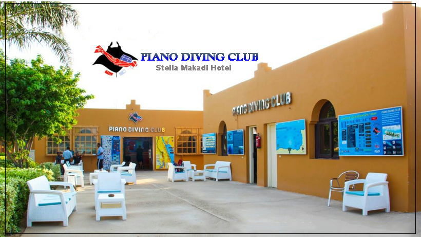 Piano Diving Club